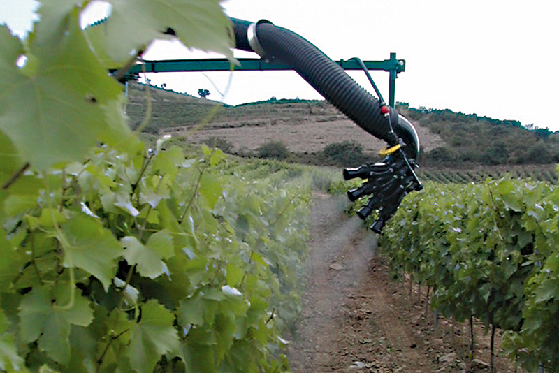 Sprühgerät von Cima im Weinanbau