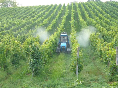 Sprühkopf 2 Fächer - Weinanbau