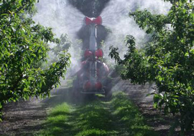 6 swinging fishtails sprayhead - apple tree, Australia