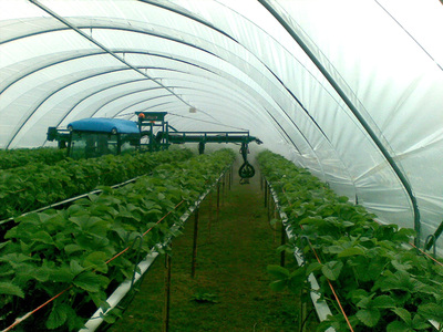 Hydraulic pneumatic boom for tunnel - Strawberries