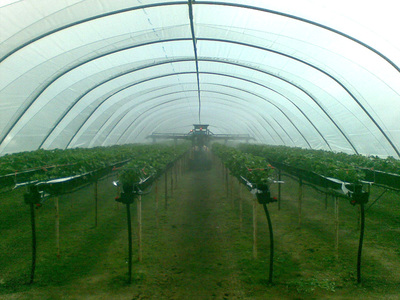 Hydraulic pneumatic boom for tunnel - Strawberries