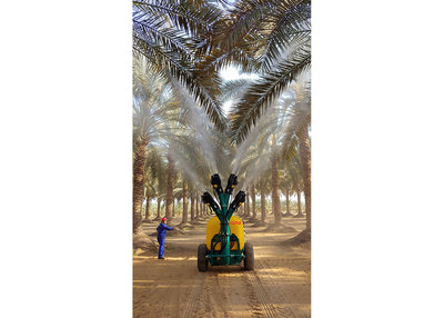 Trailed sprayer Blitz 55 equipped with Vertical jet sprayhead at four multiple cannons - date palms - Egypt