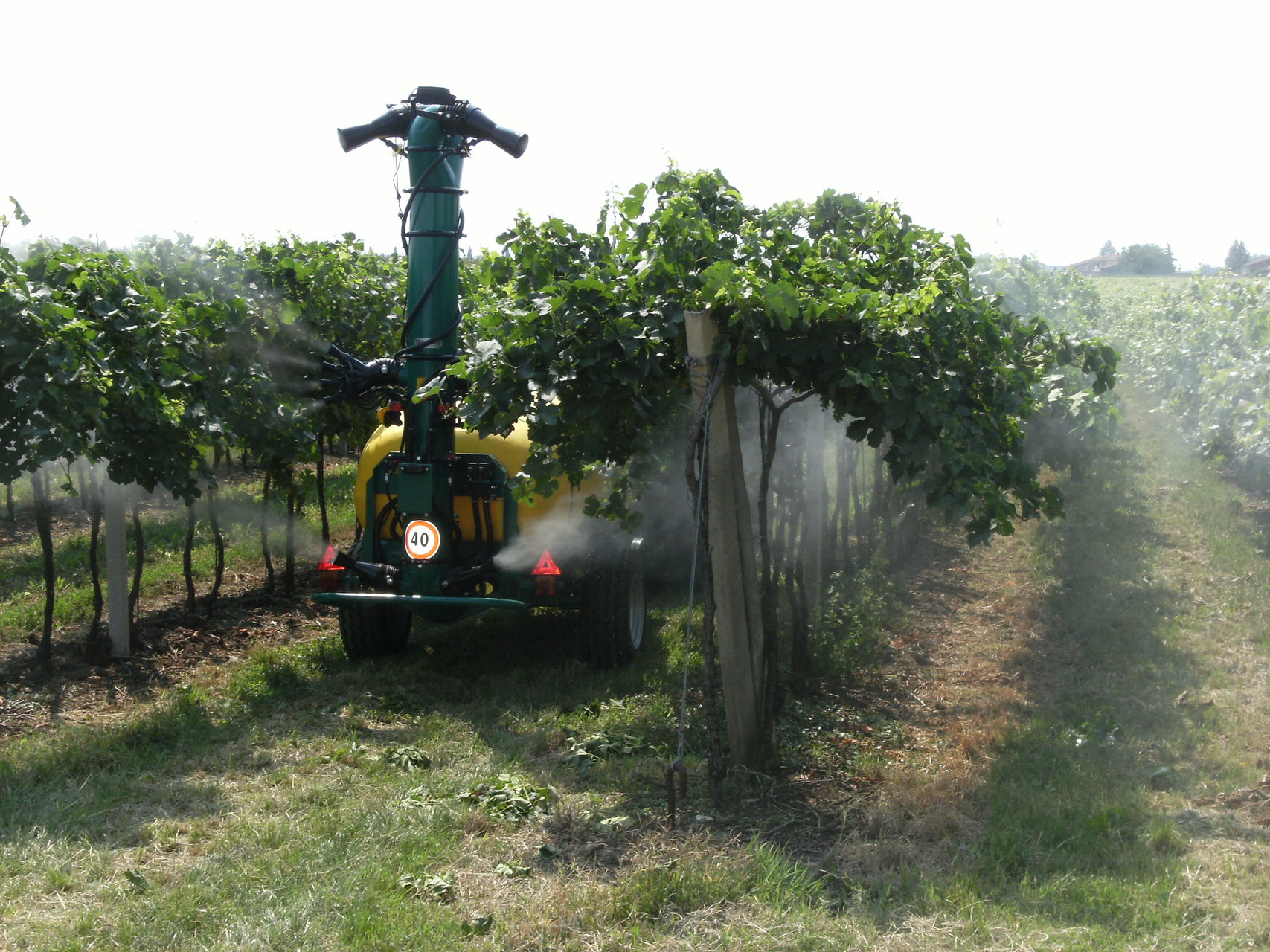 2 cannons 2 hands 2 cannons narrow sprayhead - Vineyards