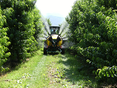 Sprayer with 4 cannons double olive sprayhead - peach trees