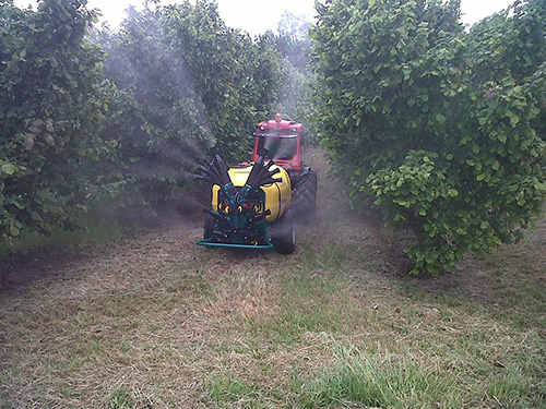 Sprayer with 4 cannons double olive sprayhead - hazelnut trees