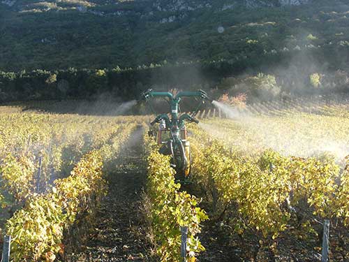 Sprayer with Savoia sprayhead - vineyard