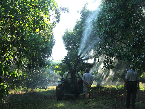 Sprayer with 4 olive sprayhead - Walnut Macadamia trees