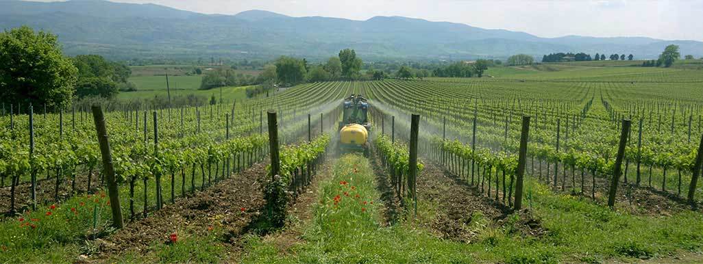 Atomizzatore pneumatico snodato Link con testata 2 mani 2 diffusori 2 cannoni