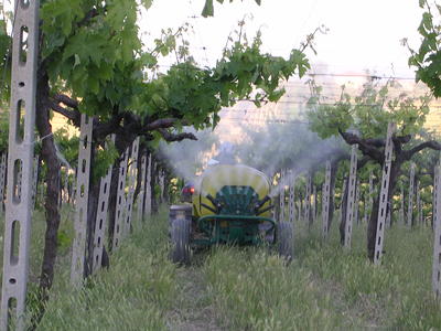 Sprühkopf Plane - Weinanbau