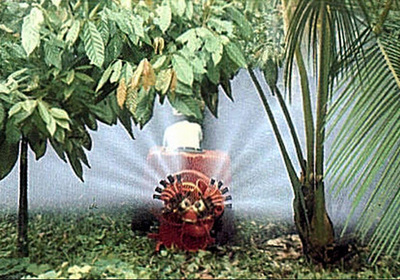 Testata 5+5 diffusori - cacao tree