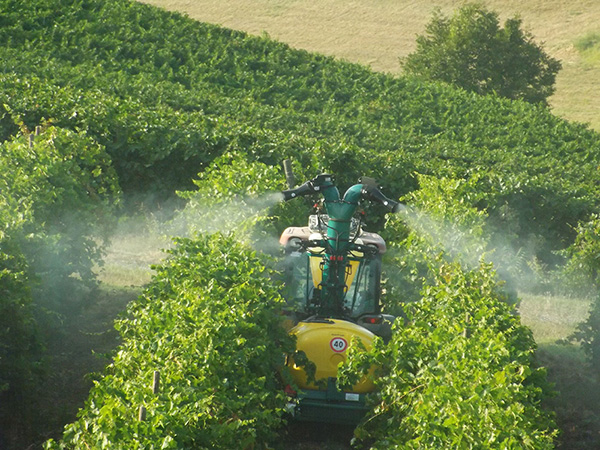 VRT CIMA fields trials VRT CIMA fields trials