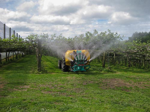 Sprayer with tendone sprayhead - kiwi