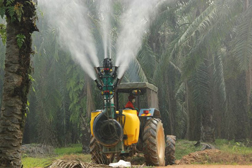 Sprayer with vertical cannon jet sprayhead - palm trees
