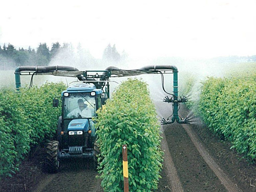 Sprühgerät mit Überzeilen-Kopf für Himbeeren