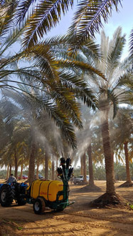 Trailed sprayer Blitz 55 equipped with
Vertical jet sprayhead at four multiple cannons - date palms - Egypt