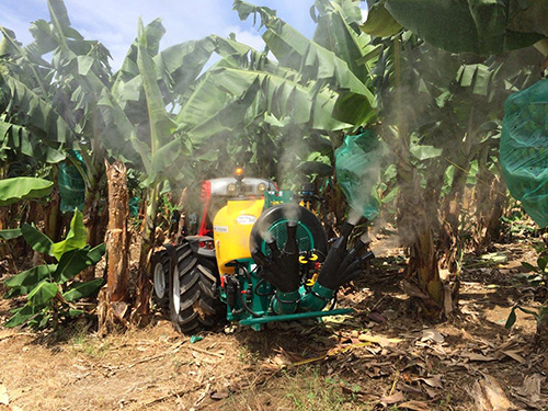 Sprayer with double olive sprayhead - banana trees